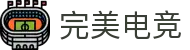 完美电竞•(中国)电子竞技-Perfect Esports